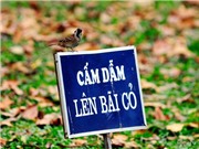 Bóng đá anh, ngoại hạng anh, lịch thi đấu euro 2012, Ảnh hài hước tuần này